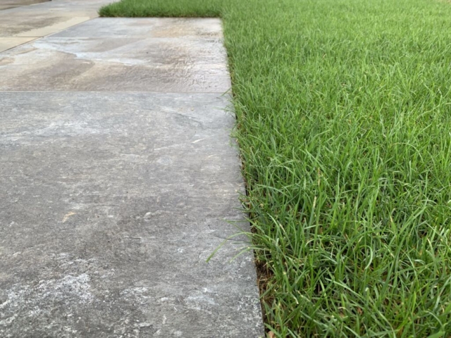 Rollrasen an Terrassenkante aus Keramikplatten